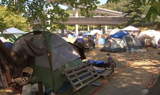 Seattle homeless, petition, government...