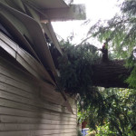 Bellevue Fire crews are on the scene of a tree into a house due to wind in the 2400 block of 161 Ave SE. No injuries. 