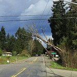 High winds are sweeping through Pierce County. A wind advisory effective until 10PM this evening. Any downed line could be energized. (Pierce County Fire)