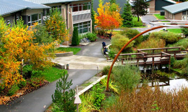 green river college...