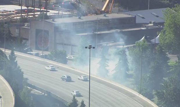 Seattle, jungle, fire...