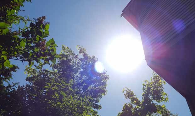 sun, sunshine, spring...