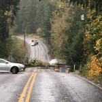 Mason County: This is the scene on Cole Rd where about 200 people are out of power. (Mason County PUD)
