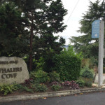 About the only clue that Meydenbauer Bay was once home to a fleet of wha
ling vessels is 
the condo complex across the street called Whaler
’
s Cover; the old 
Dz
Jonah and The Whale
dz
restaurant at the Bellevue Holiday Inn was also inspired by the city’s whaling history.  
(Photo by Feliks Banel) 