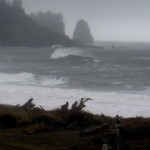 Some folks braved the conditions to watch the storm roll in over La Push on Thursday. (webcam)