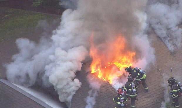 Woodland park zoo fire...