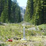 Boundary monuments typically have a 10-foot wide swath of cleared land on either side, known as the “vista.”  (Photo courtesy International Boundary Commission)