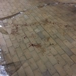 Blood spatters are seen in UW's Red Square after a reported gunshot on campus during a protest Friday night. (Josh Kerns, KIRO Radio)