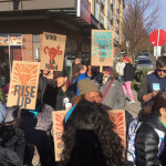 Thousands attend the Women's March in Seattle. (Laruen Padgett, KIRO Radio)