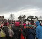 Thousands attend the Women's March in Seattle. (KIRO Radio staff)