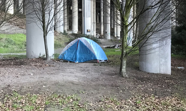 seattle homeless...