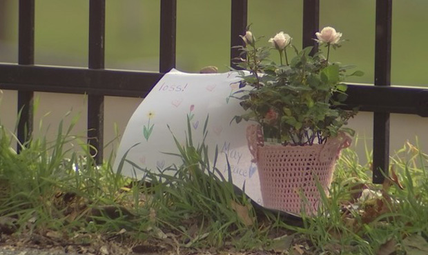 A memorial was set up for a grandmother who was struck and killed by a car in Burien. (KIRO 7)...