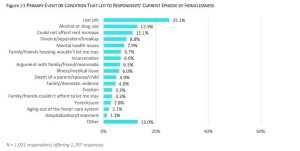 HomelessSurvey