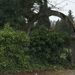 The 1907 ornamental entryway arch at St. Patrick Cemetery in Kent is nowadays bisected by a chainlink fence. Photo by Feliks Banel.