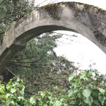 St. Patrick Cemetery's 1907 ornamental arch is no longer used, and is covered with moss. Photo by Feliks Banel.