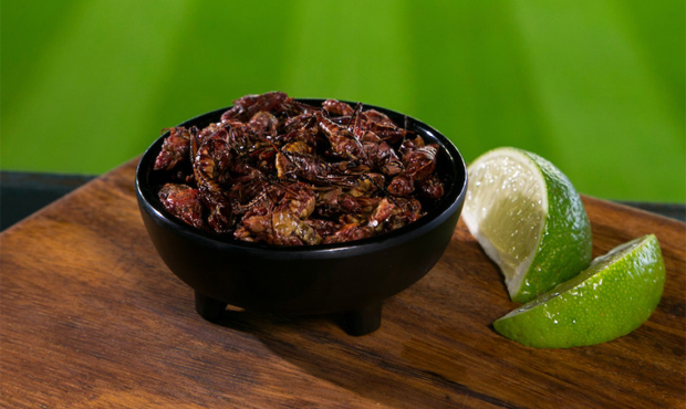grasshoppers...
