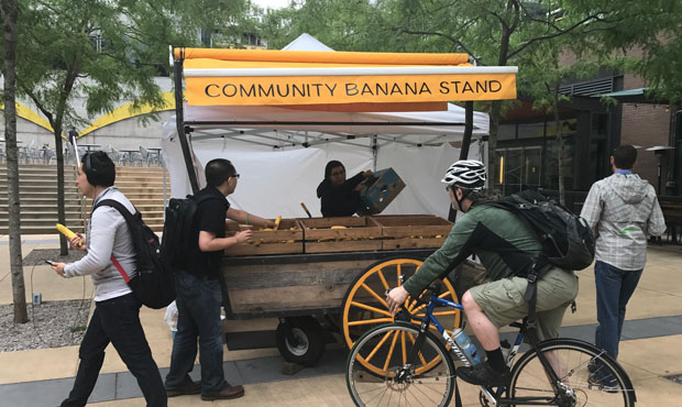 Amazon bananas...