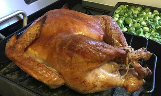 thanksgiving, turkey...