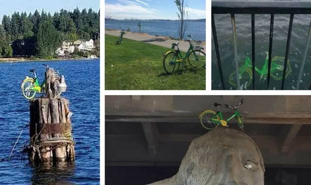 bikes...