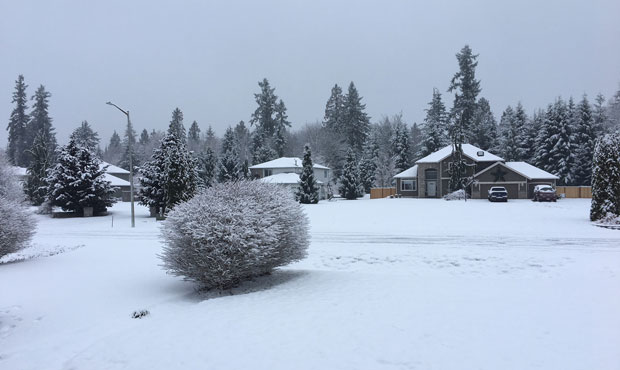 snow...