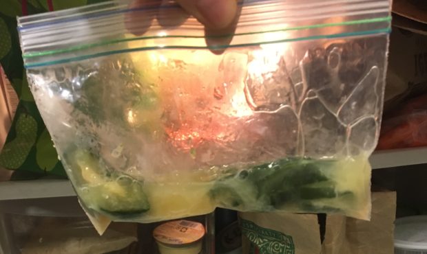 The inside of the shared KIRO refridgerator, featuring an abandoned, liquefied cucumber. (Photo by ...