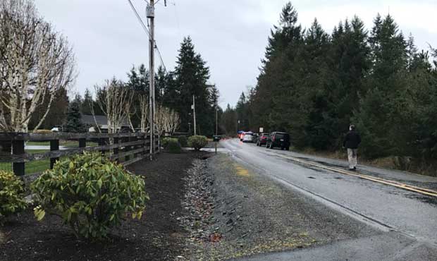 Pierce County shootings...