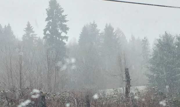 snow...