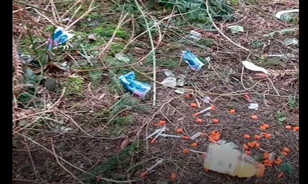 Toddler steps on fluid-filled needle at Ocean Shores beach