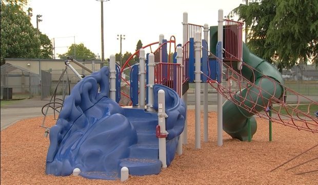 needle in Everett playground...