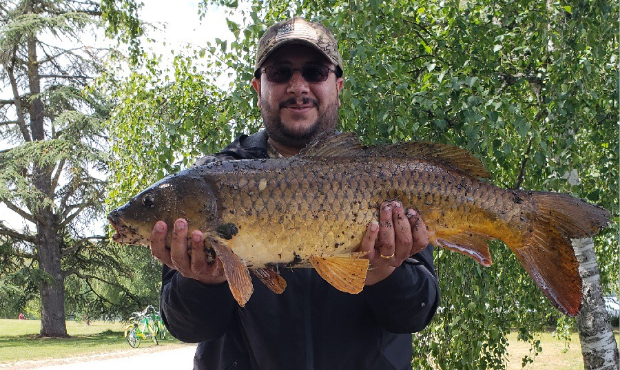 catfish, Green Lake...