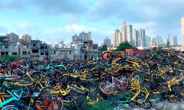 ofo, bikeshare, bike share...