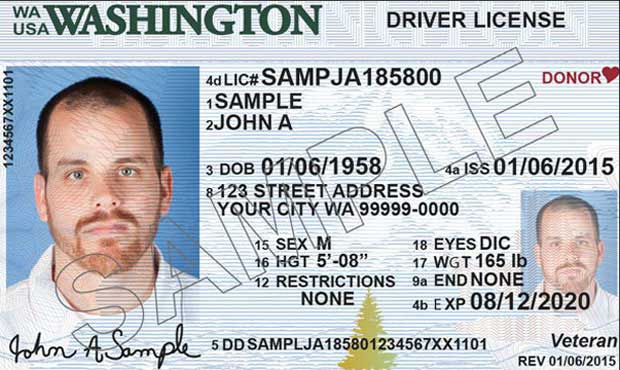 driver's license...