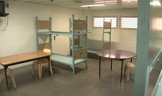 king county, foster...
