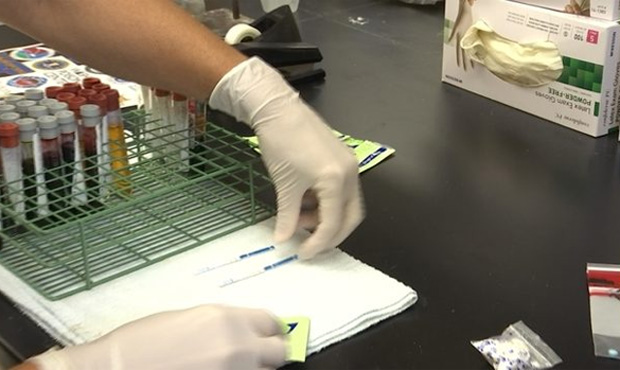 Lab blood test backlog from KIRO 7...