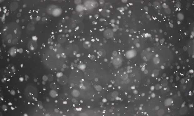 snow bowl...