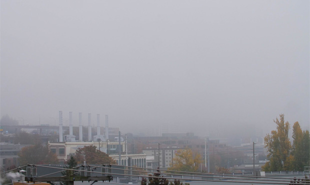 fog...