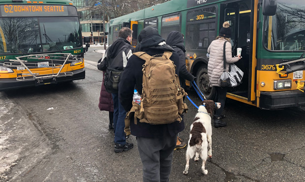 bus...
