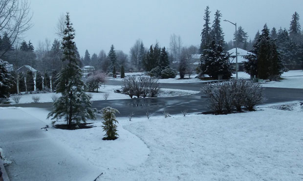 snow...