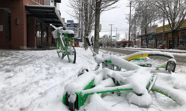 seattle, limebike, snow, bikeshare, bike, lime bike share...