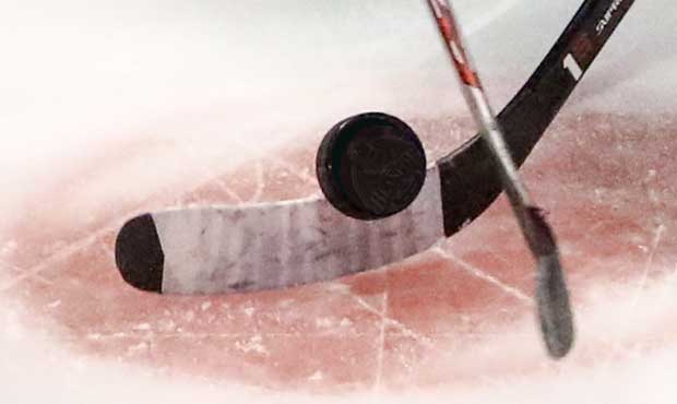 nwhl, hockey...
