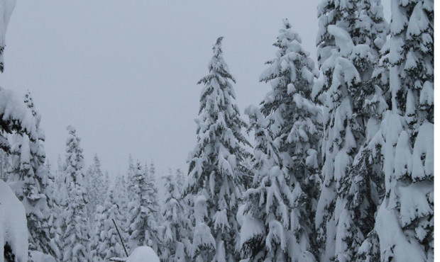 snowpack, skykomish, cliff mass...