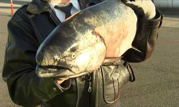 (KIRO 7)...