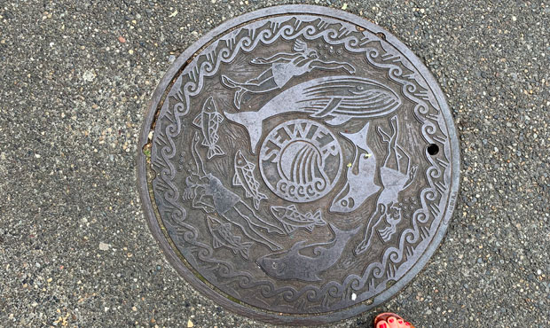 hatch cover...