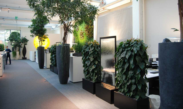 Office plants biophelia...