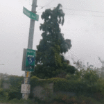 freeway signs