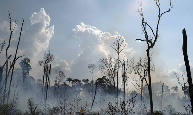 Amazon rain forest wild fire...