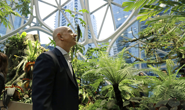 Amazon climate change...