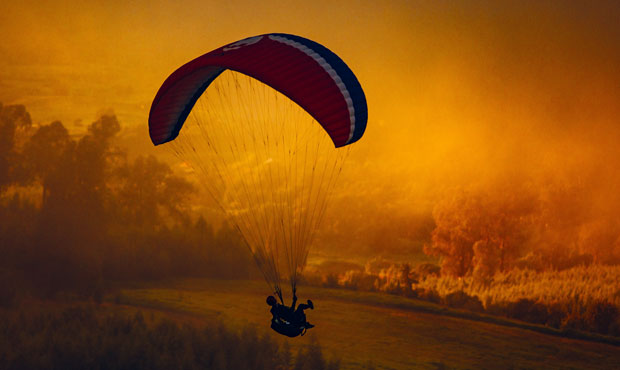 golden parachute, snohomish...
