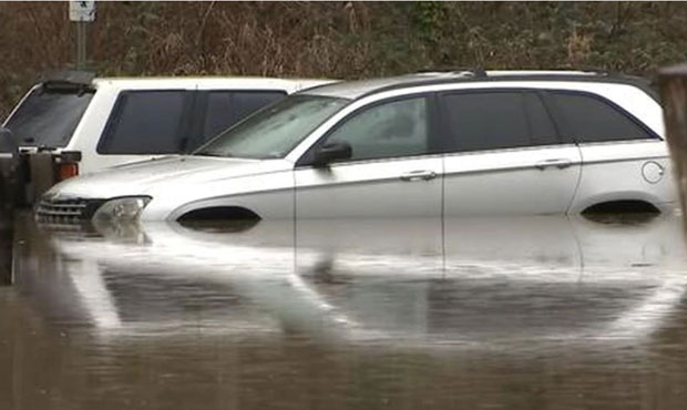 Nisqually flood...