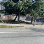 While Gov Jay Inslee said no basketball at a park, this small group went out anyway.(Photo: Jason Rantz/KTTH)